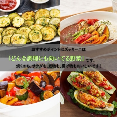 ズッキーニ 約1kg (5本前後) ずっきーに 小松市産