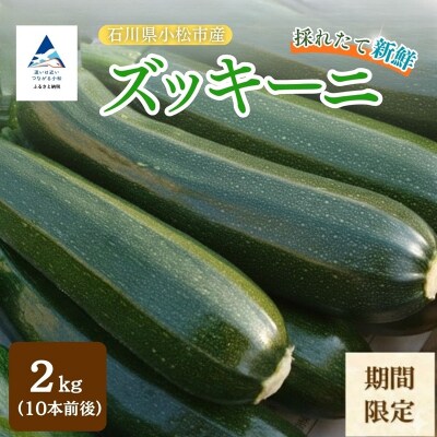 ズッキーニ 約2kg (10本前後) ずっきーに 小松市産