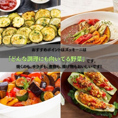 ズッキーニ 約2kg (10本前後) ずっきーに 小松市産