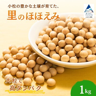 大豆 1kg 豆 イソフラボン おやつ おつまみ 味噌作り