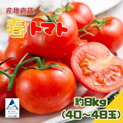 春トマト 約8kg(40玉~48玉) 小松産 野菜 春とまと