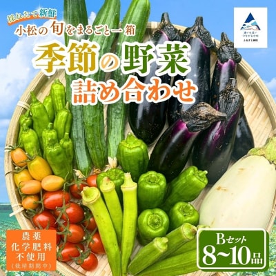 季節の野菜詰め合わせ Bセット 野菜食べ比べ 旬の野菜 野菜セット