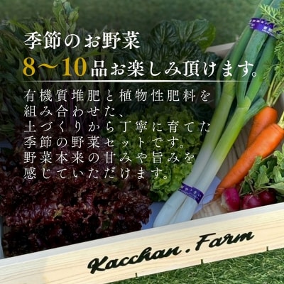 季節の野菜詰め合わせ Bセット 野菜食べ比べ 旬の野菜 野菜セット
