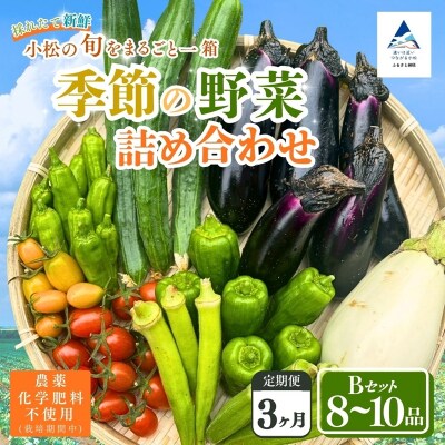 【定期便3ヶ月】季節の野菜詰め合わせ Bセット 野菜食べ比べ 旬の野菜 野菜セット 定期便