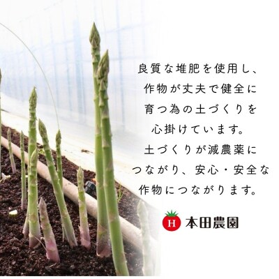アスパラガス 1kg (訳アリ) 野菜 訳あり アスパラ