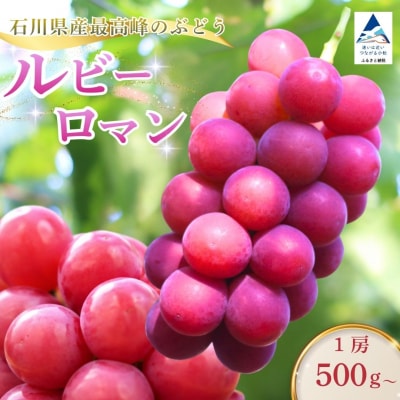 【2027年先行予約】 ルビーロマン ぶどう 葡萄 大粒 1房 500g 以上 石川県 小松市