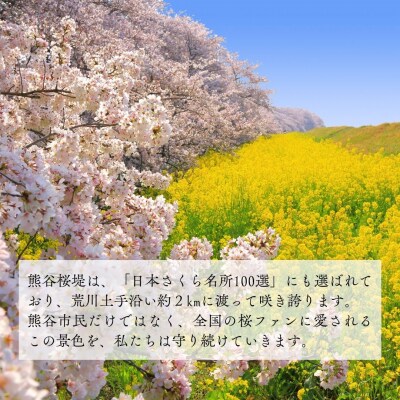 さくらネクタイ(ネイビー)