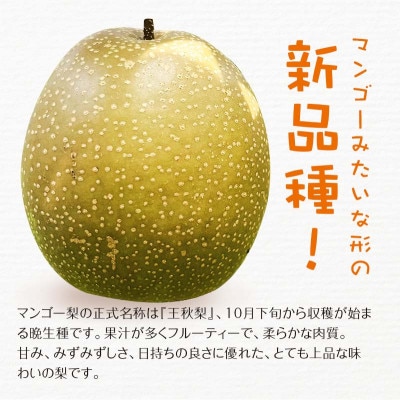 【先行受付】 マンゴー梨 (王秋梨)2.5kg  球磨村 【毎床すなお梨園】FKP9-652