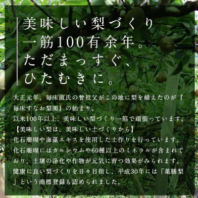 【先行受付】 極あま!! 甘太(かんた) 梨 約2.5kg　球磨村 【毎床すなお梨園】