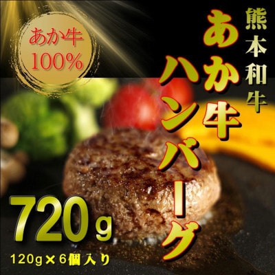 熊本和牛あか牛100%ハンバーグセット(あか牛ハンバーグ120g×6個)(球磨村)