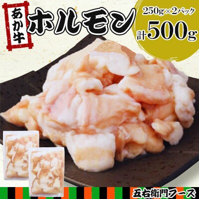 赤牛 ホルモン 合計500g(250g×2パック)(球磨村)