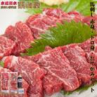 馬刺し 赤身・トロ身・たてがみセット 熊本特産【馬刺・和牛乃　栗山屋】(球磨村)