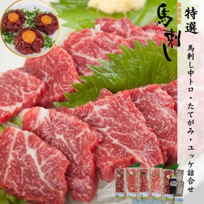 特選 馬刺し中トロ・たてがみ・ユッケ詰合せ【馬刺・和牛乃　栗山屋】(球磨村) FKP9-563