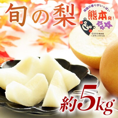 旬の梨 品種おまかせ 6～18玉 約5kg(球磨村)