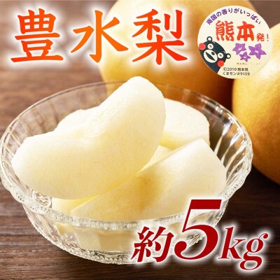 豊水梨 6～18玉 約5kg(球磨村)