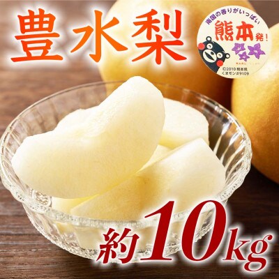 豊水梨 12～36玉 約10kg(球磨村)