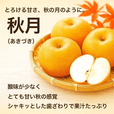 秋月梨 6～18玉 約5kg(球磨村)