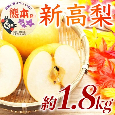 新高梨 5～8玉 約1.8kg(球磨村)