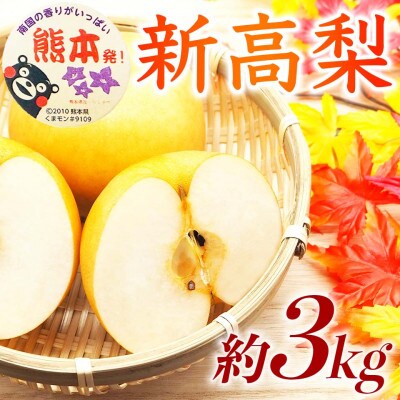 新高梨 4～12玉 約3kg(球磨村)