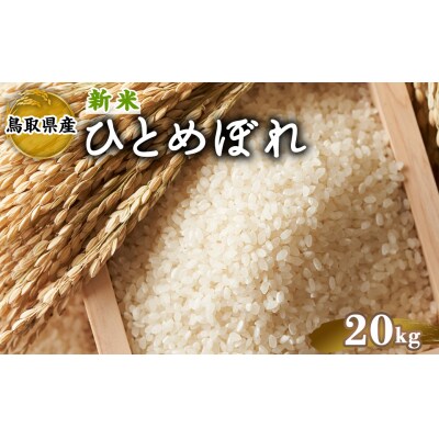 令和7年産新米鳥取県産ひとめぼれ(20kg)