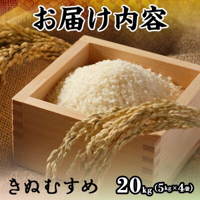 令和7年産新米鳥取県産きぬむすめ(20kg)