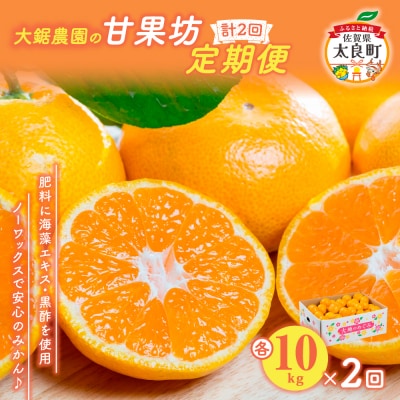 大鋸農園の甘果坊 10kg【2回定期便】　P81