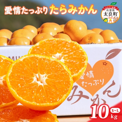 愛情たっぷりたらみかん 10kg　N199