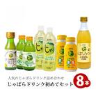 じゃばらドリンク初めてセット / 幻の柑橘じゃばらドリンク5種類が一度に楽しめる!【njb102A】