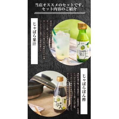 じゃばら調味料セット【njb661】