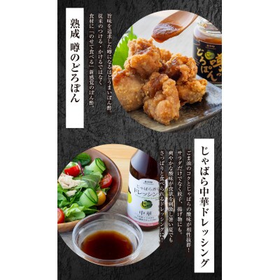 じゃばら調味料セット【njb661】