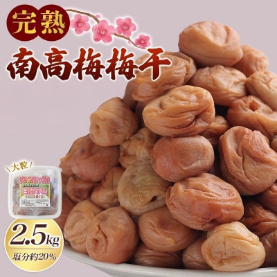 完熟南高梅 梅干し 2.5kg 無添加 サイズ混合【2025年9月～発送予定】【njb647】