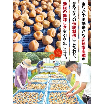 完熟南高梅 梅干し 2.5kg 無添加 サイズ混合【2025年9月～発送予定】【njb647】