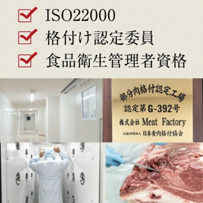 特選黒毛和牛 熊野牛 自家製 ハンバーグ 100g×10個入【mtf100】