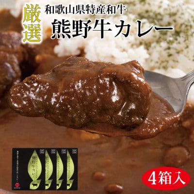 特選黒毛和牛 熊野牛カレー 4箱【mtf102】