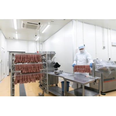 わかやま ジビエソーセージ 猪・鹿 10パックセット【mtf104】