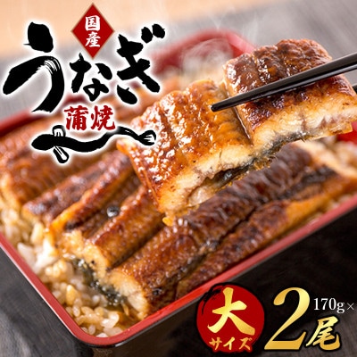 【大型サイズ】ふっくら柔らか 国産うなぎ蒲焼き 2尾【uot302A-3】