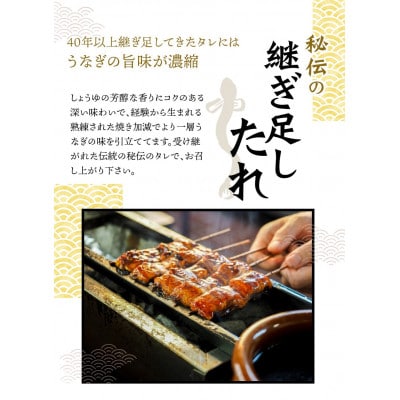 【大型サイズ】ふっくら柔らか 国産うなぎ蒲焼き 2尾【uot302A-3】