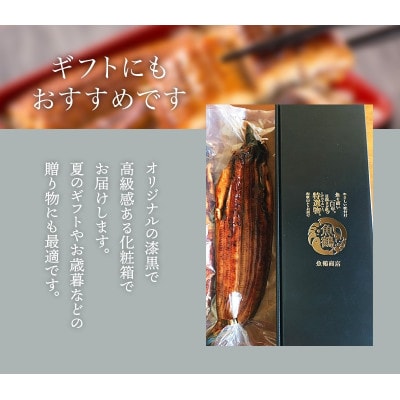 【大型サイズ】ふっくら柔らか 国産うなぎ蒲焼き 2尾【uot302A-3】