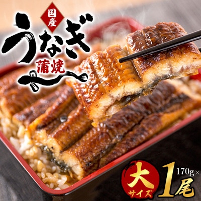 【大型サイズ】ふっくら柔らか 国産うなぎ蒲焼き 1尾【uot714A】
