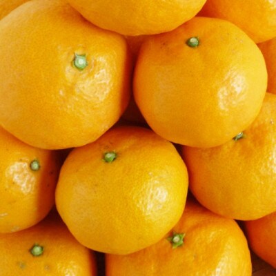初夏のみかん なつみ5kg ※2026年4月中旬頃～4月下旬頃に順次発送予定【uot501-2】