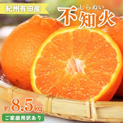 【ご家庭用訳あり】紀州有田産 不知火 約8.5kg【uot507A】