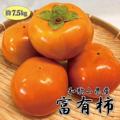 和歌山秋の味覚 富有柿 約7.5kg ※2025年11月上旬～12月上旬頃順次発送【uot702A】