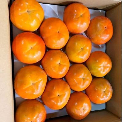 和歌山秋の味覚 富有柿 約7.5kg ※2025年11月上旬～12月上旬頃順次発送【uot702A】