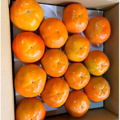 富有柿 約4kg 化粧箱入 ※2025年11月上旬～12月上旬頃順次発送【uot703】