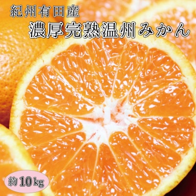 完熟有田みかん 10kg ※2025年11月下旬～2026年1月下旬頃に順次発送予定【uot705】