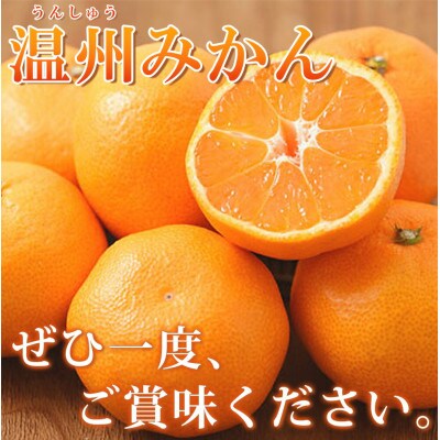 完熟有田みかん 10kg ※2026年11月下旬～2027年1月下旬頃に順次発送予定【uot705】