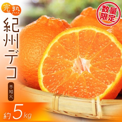 完熟紀州デコ(不知火) 約5kg 《2026年2月下旬頃〜3月中旬頃順次発送》【uot707A】