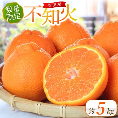 紀州有田産 不知火 約5kg 《2026年2月中旬頃〜3月中旬頃順次発送》【uot709A】