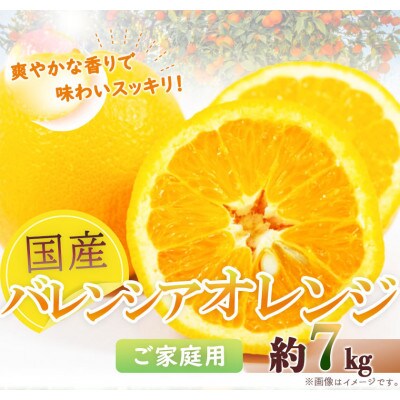 訳あり 国産 バレンシアオレンジ 7kg ※2027年6月下旬～7月上旬順次発送予定【uot712】