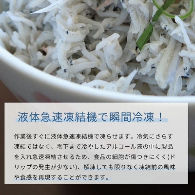 紀州和歌山湯浅産 釜揚げしらす 500g(100g×5) 【uot786A】